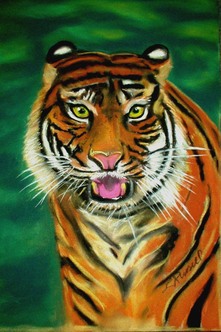 Bengal Tiger