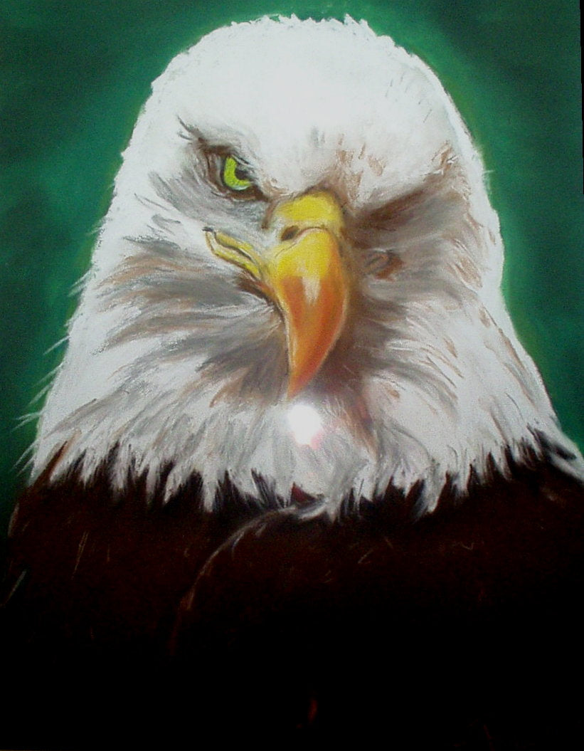 Eagle Eye