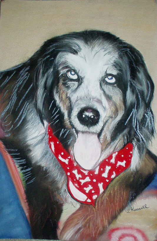 Grey Dog with Red Bandana