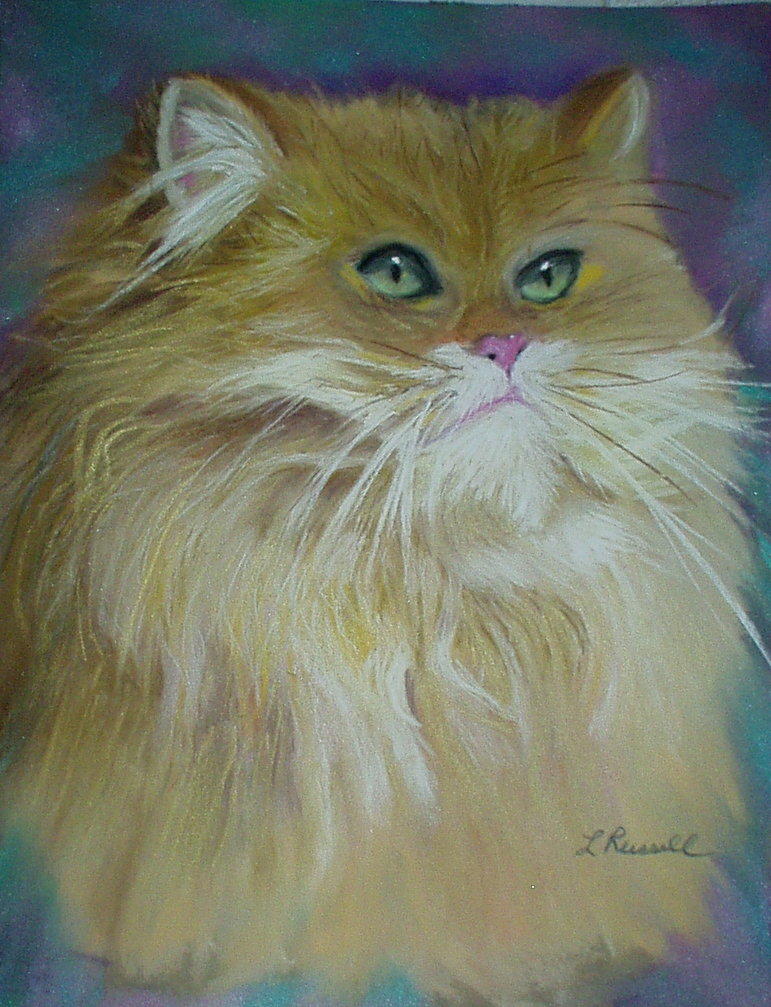 Hazel Cat