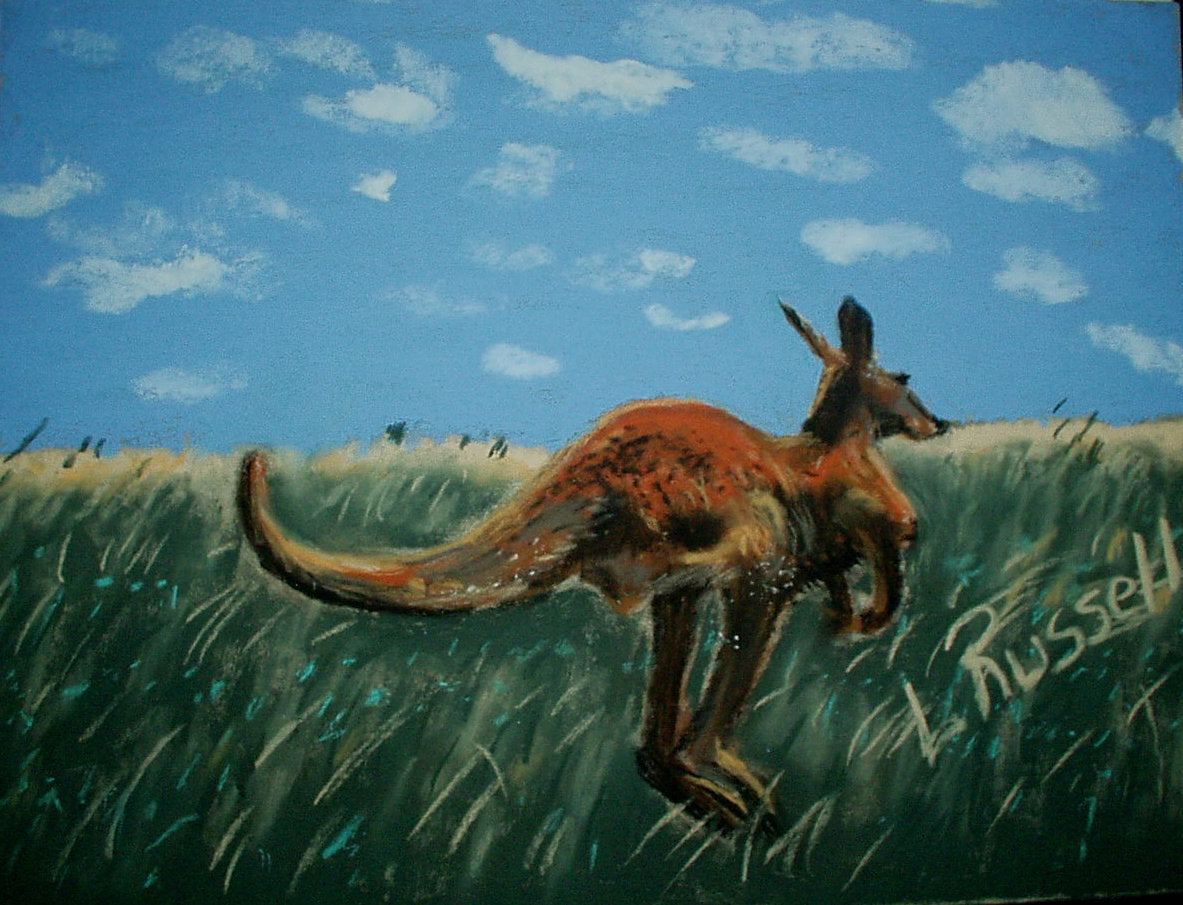 Kangaroo