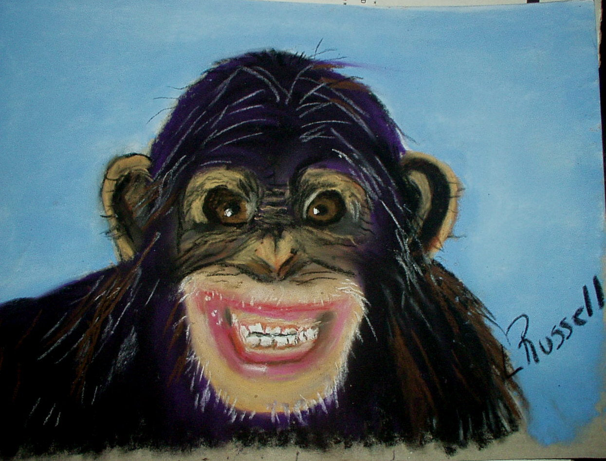Grinning Chimp