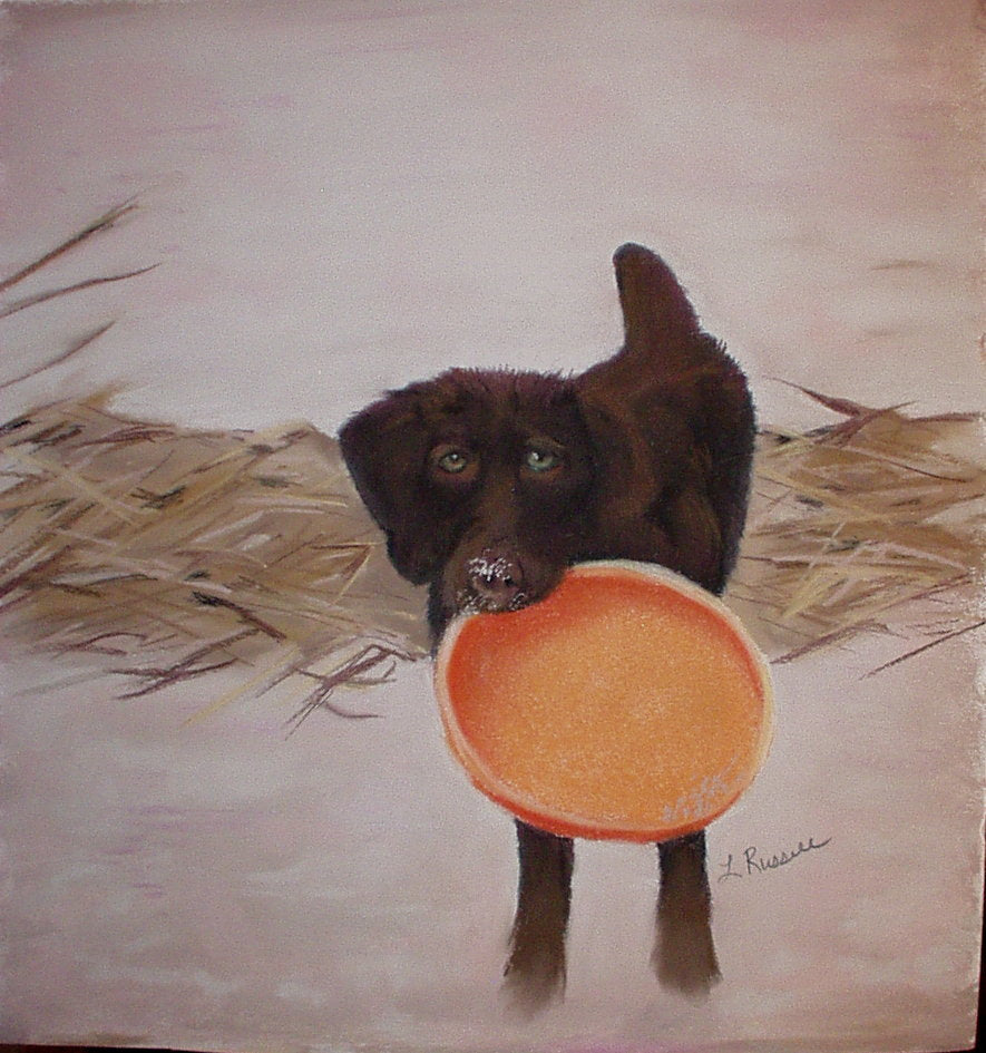 Frisbee