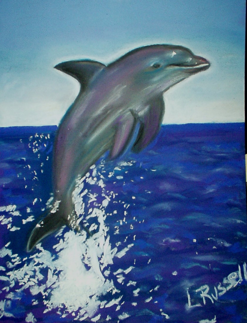 Leaping Dolphin