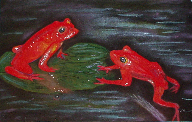 Red Frogs