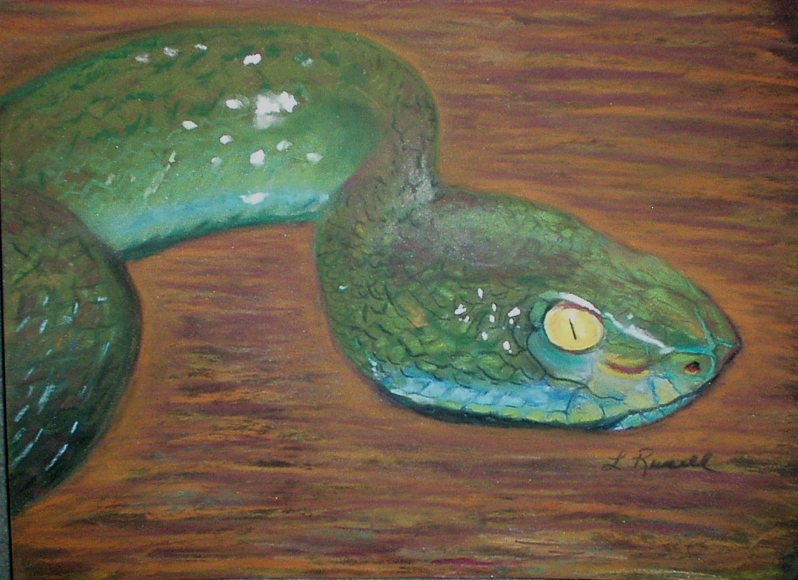 Green Snake