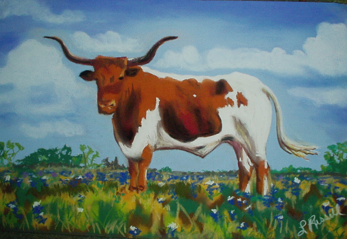 Standing Texas Longhorn